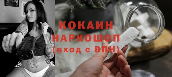 гидра Бронницы