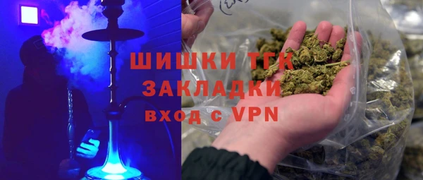 гидра Бронницы