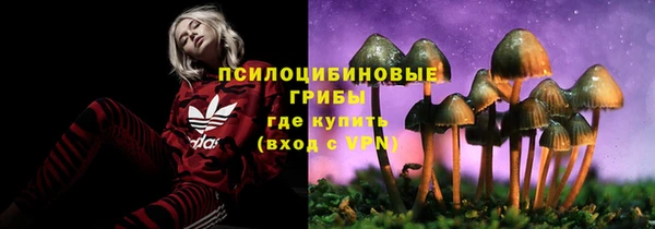 дурь Бугульма