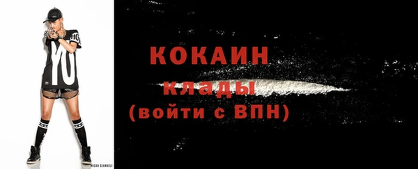 гидра Бронницы