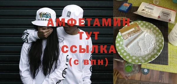гидра Бронницы