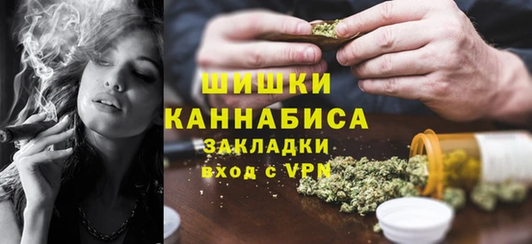 гидра Бронницы